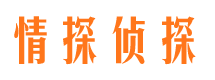 淮阳侦探